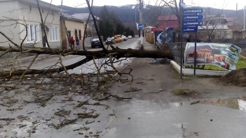 Натисніть, щоб побачити повний розмір