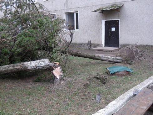 Натисніть, щоб побачити повний розмір