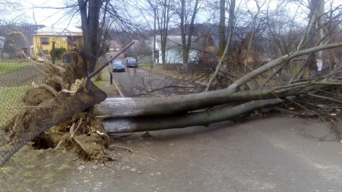 Натисніть, щоб побачити повний розмір