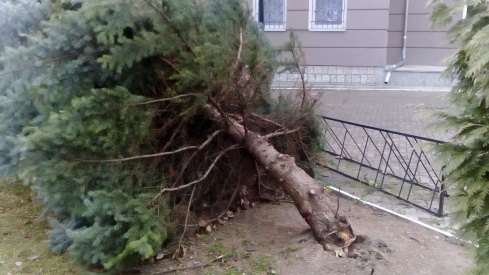 Натисніть, щоб побачити повний розмір