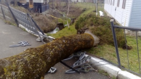 Натисніть, щоб побачити повний розмір