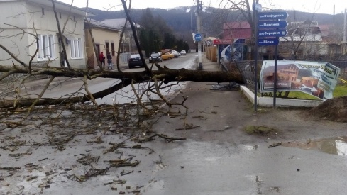 Натисніть, щоб побачити повний розмір