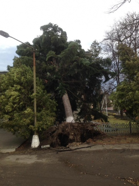 Натисніть, щоб побачити повний розмір