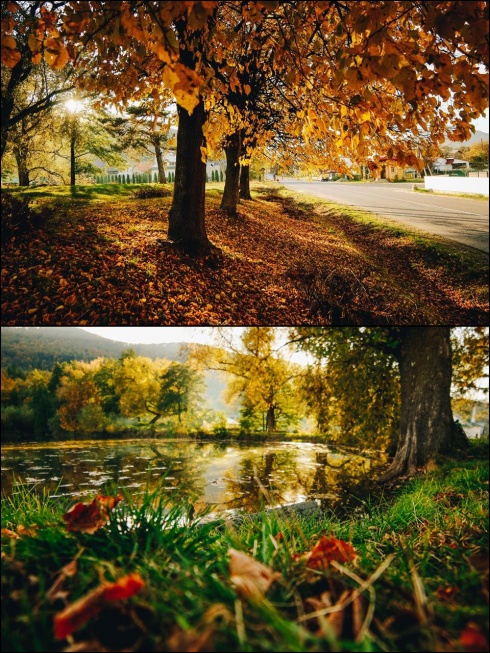 Натисніть, щоб побачити повний розмір