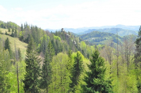 Натисніть, щоб побачити повний розмір