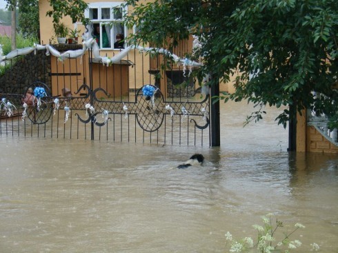 Натисніть, щоб побачити повний розмір