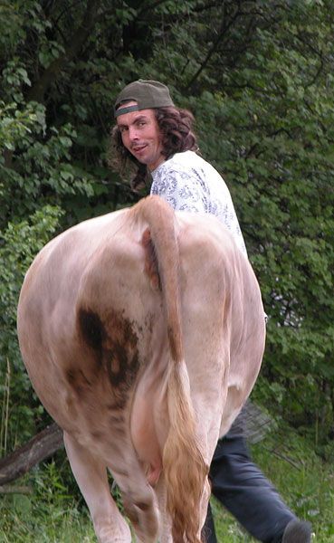 Натисніть, щоб побачити повний розмір