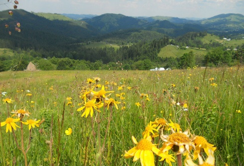 Натисніть, щоб побачити повний розмір