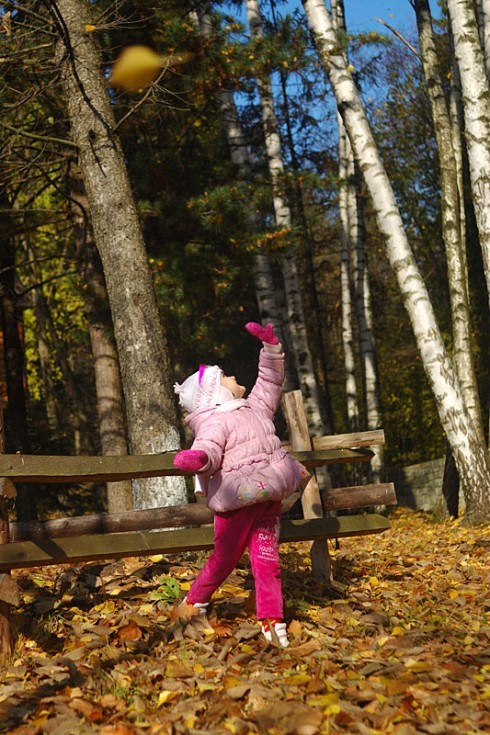 Натисніть, щоб побачити повний розмір