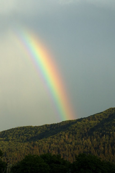 Натисніть, щоб побачити повний розмір