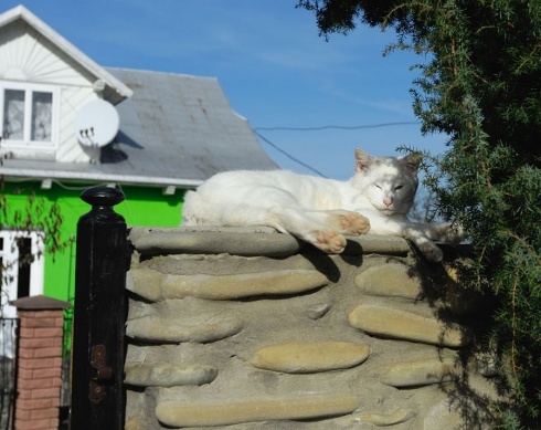 Натисніть, щоб побачити повний розмір