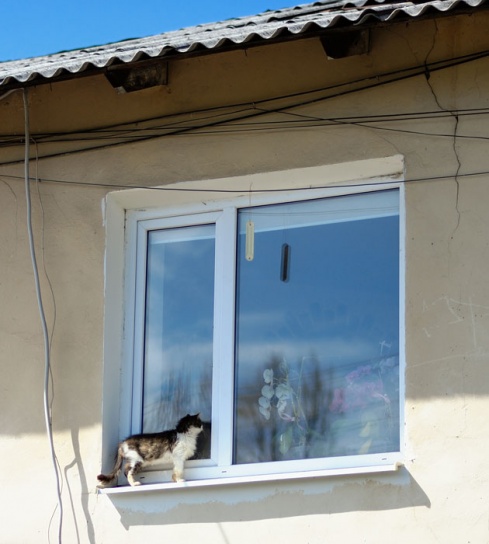 Натисніть, щоб побачити повний розмір