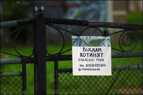 Натисніть, щоб побачити повний розмір