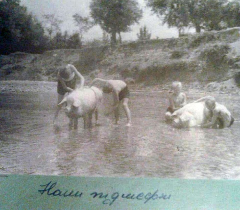 Натисніть, щоб побачити повний розмір