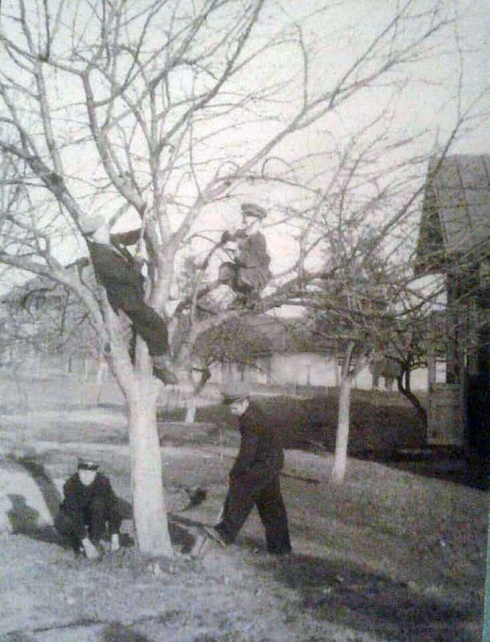 Натисніть, щоб побачити повний розмір