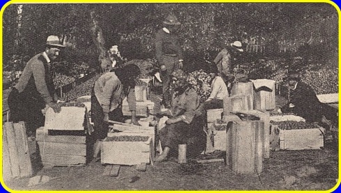 Натисніть, щоб побачити повний розмір