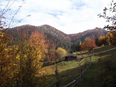 Натисніть, щоб побачити повний розмір