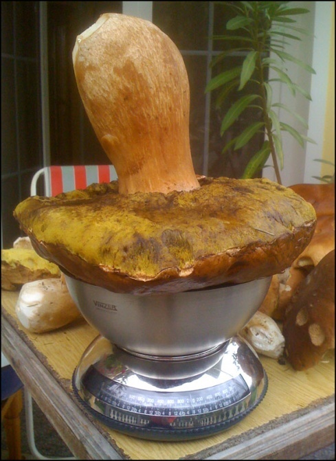 Натисніть, щоб побачити повний розмір