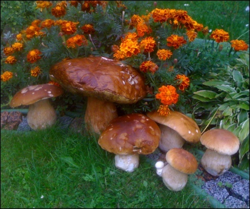 Натисніть, щоб побачити повний розмір