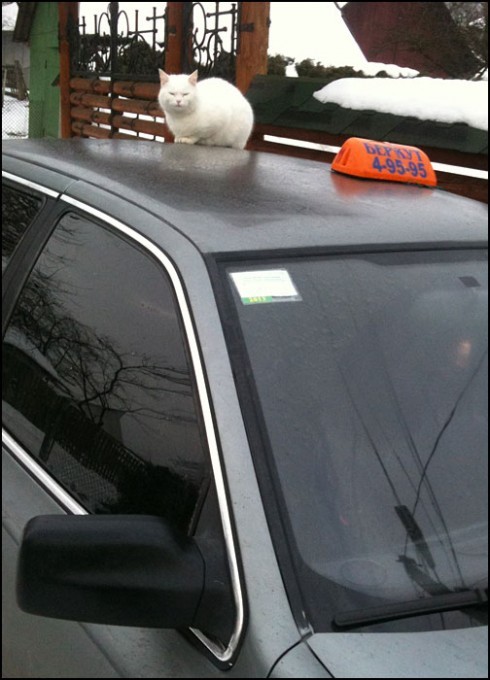 Натисніть, щоб побачити повний розмір