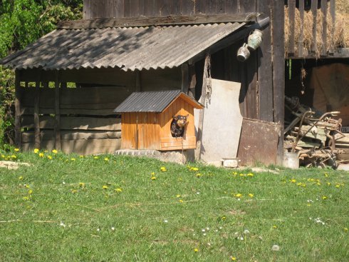 Натисніть, щоб побачити повний розмір