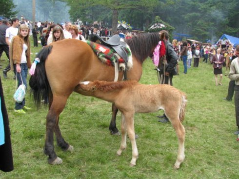 Натисніть, щоб побачити повний розмір