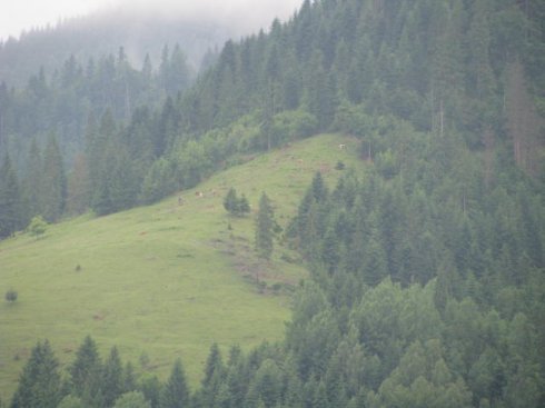 Натисніть, щоб побачити повний розмір