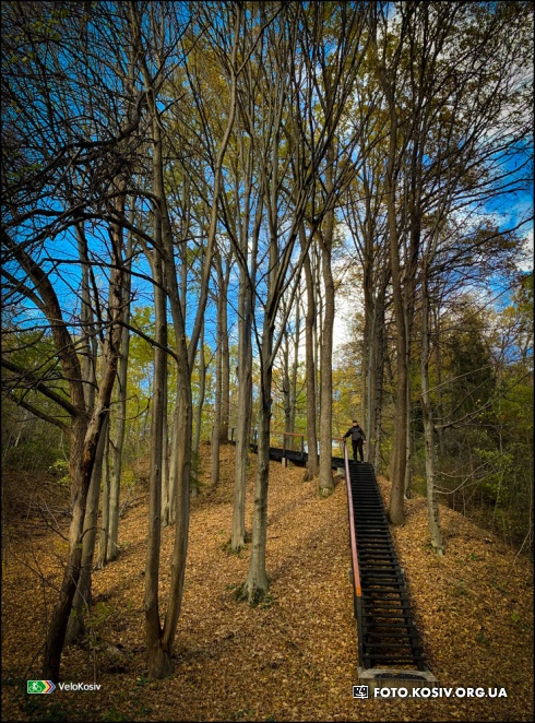 Натисніть, щоб побачити повний розмір