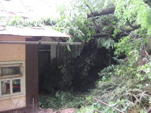 Натисніть, щоб побачити повний розмір