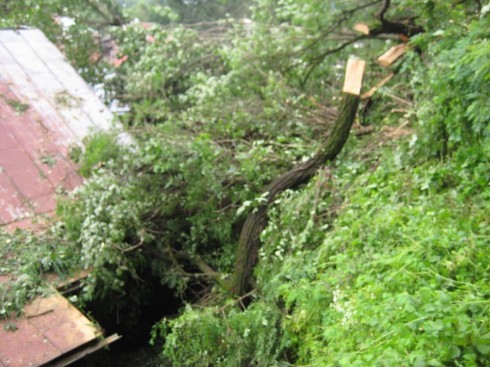 Натисніть, щоб побачити повний розмір