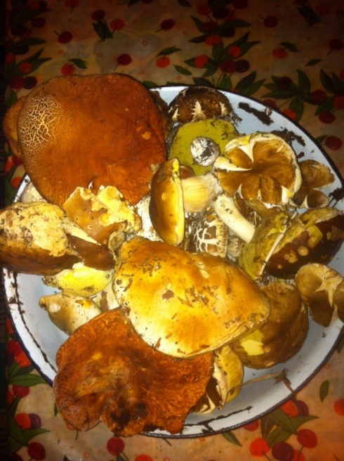 Натисніть, щоб побачити повний розмір