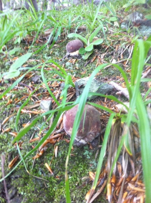 Натисніть, щоб побачити повний розмір