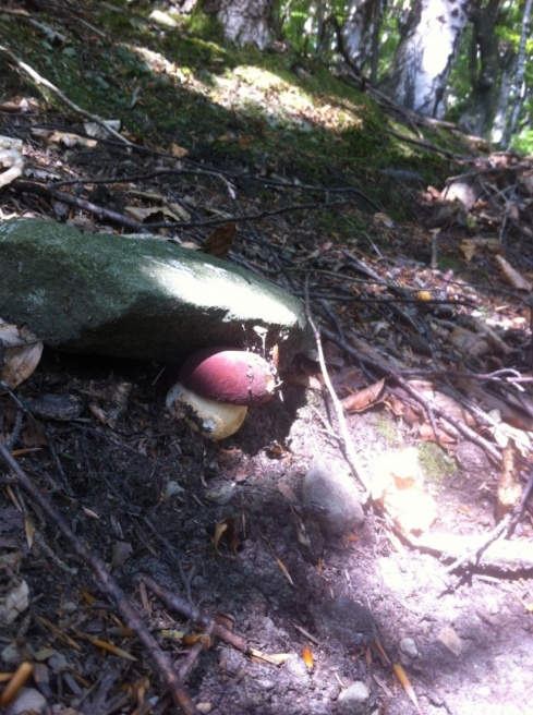 Натисніть, щоб побачити повний розмір