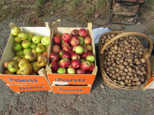 Натисніть, щоб побачити повний розмір