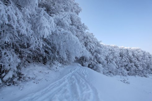 Натисніть, щоб побачити повний розмір
