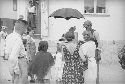 Натисніть, щоб побачити повний розмір