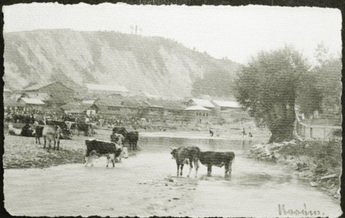 Натисніть, щоб побачити повний розмір