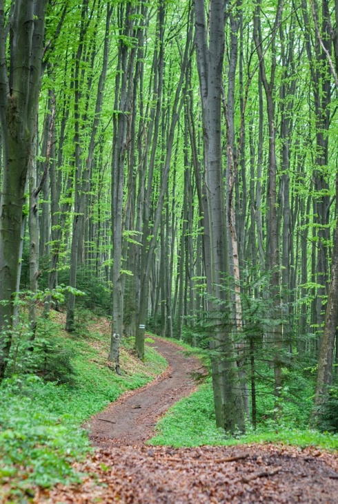 Натисніть, щоб побачити повний розмір