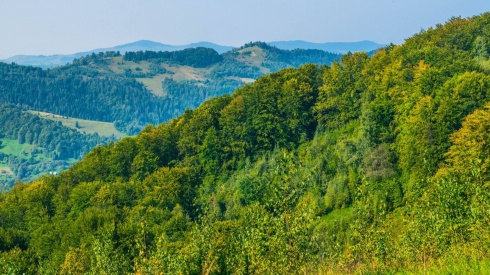 Натисніть, щоб побачити повний розмір