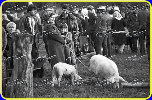 Натисніть, щоб побачити повний розмір