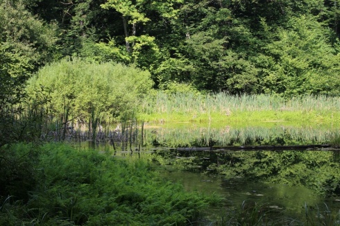 Натисніть, щоб побачити повний розмір