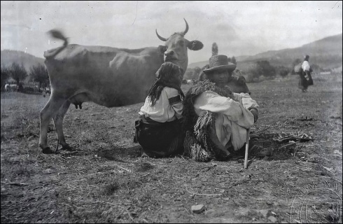 Натисніть, щоб побачити повний розмір