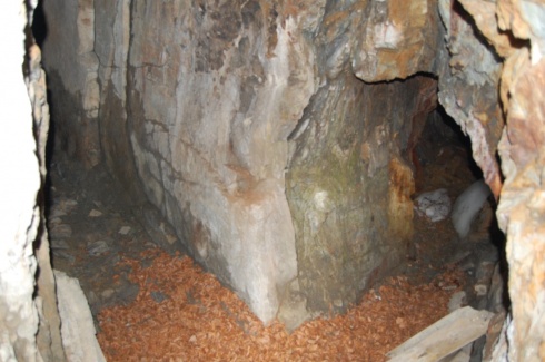 Натисніть, щоб побачити повний розмір