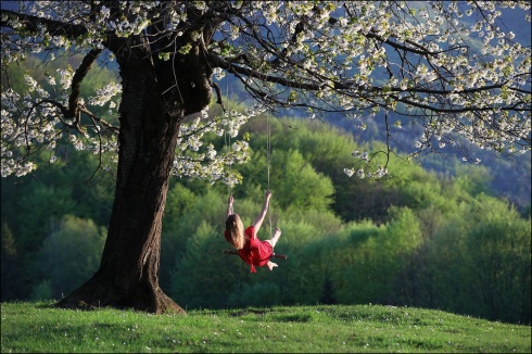 Натисніть, щоб побачити повний розмір