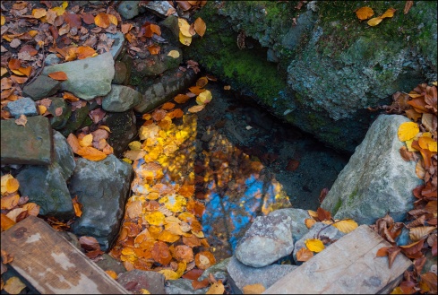 Натисніть, щоб побачити повний розмір