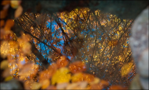 Натисніть, щоб побачити повний розмір