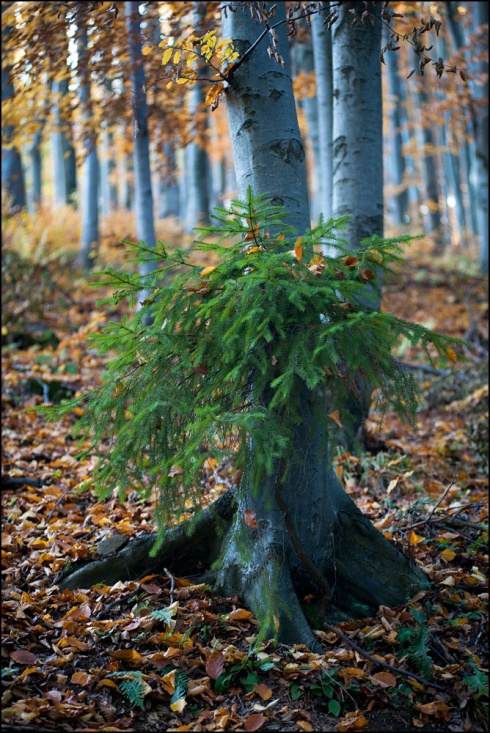 Натисніть, щоб побачити повний розмір