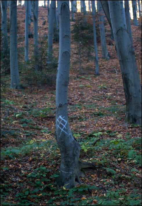 Натисніть, щоб побачити повний розмір