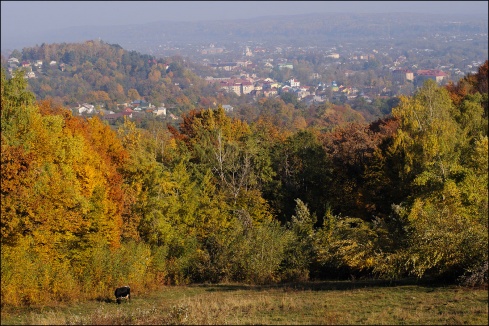Натисніть, щоб побачити повний розмір