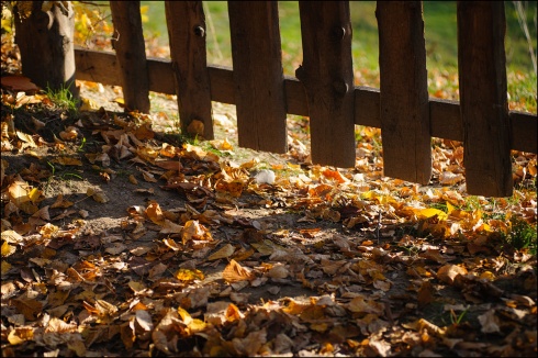 Натисніть, щоб побачити повний розмір